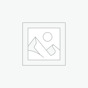 Saeed Cloth House Cutdana Fabric